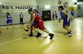 Basket 443016